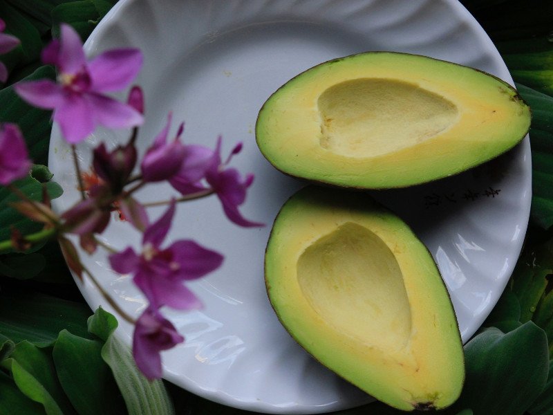 Home Healthy Avocados